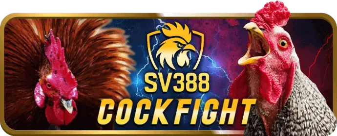 Ưu Đãi Đặc Biệt Cho Thành Viên VIP
